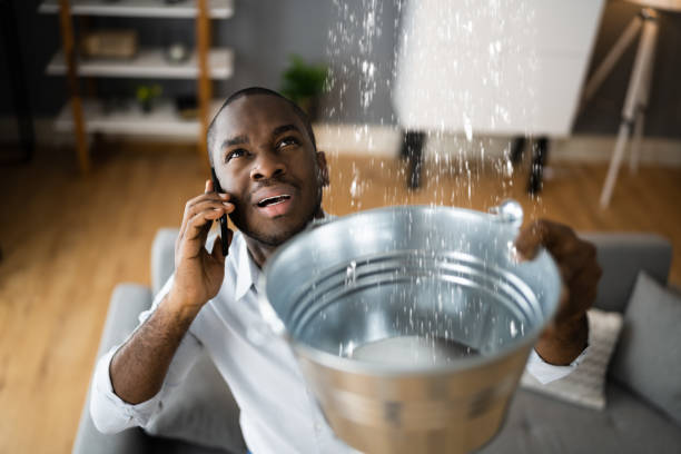 Best Water damage restoration near me  in Town Creek, AL