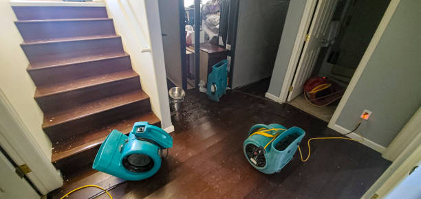 Professional Water damage restoration in AL