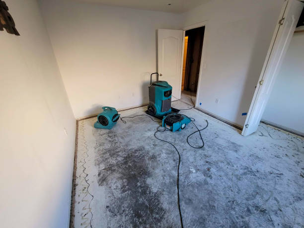 Best Water damage restoration near me  in Town Creek, AL