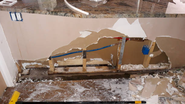 Best Water damage cleanup near me  in Town Creek, AL