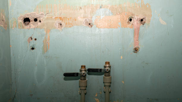 Best Professional water damage repair  in Town Creek, AL