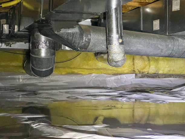 Best Water damage restoration cost  in Town Creek, AL
