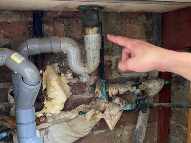 Best Sewage cleanup and water damage restoration  in Town Creek, AL